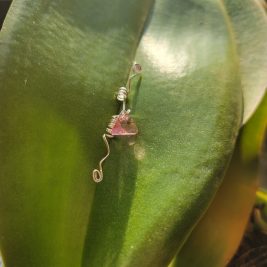 Genuine .925 Sterling Silver with Pink Swarovski Crystal loc jewelry
