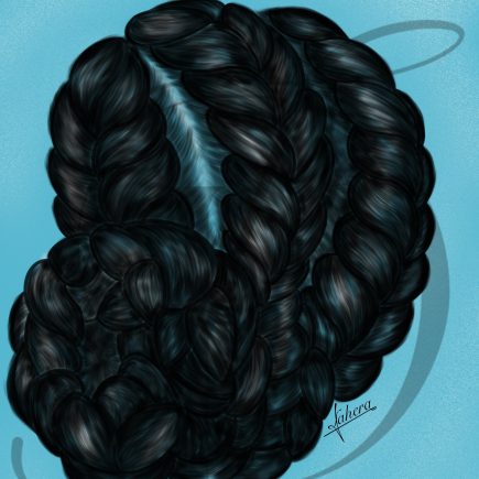 Braids