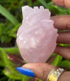 Anatomical Heart - Chipped/Flawed - Rose Quartz