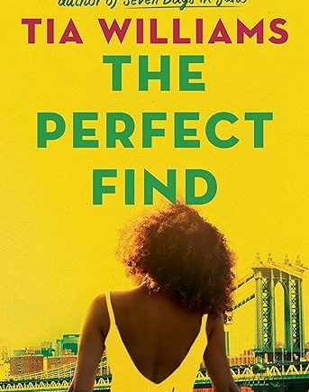 The Perfect Find Paperback – Tia Williams