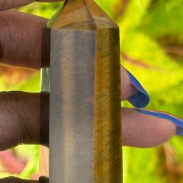 Tigers Eye Point