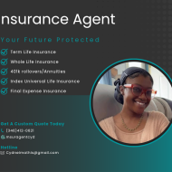 Insurance Agent