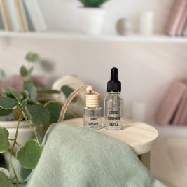 CITRUS SUNSHINE CAR & DIFFUSER & REFILL