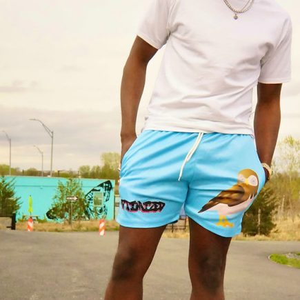 Owl Shorts Icy