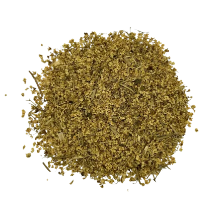 Organic Elder Flower - Sambucus nigra - Cut & Sifted