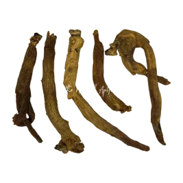 Organic Chinese Red Ginseng Roots - Panax ginseng - Whole