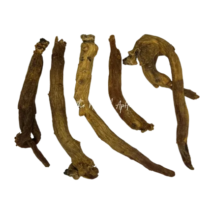 Organic Chinese Red Ginseng Roots - Panax ginseng - Whole