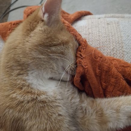 A Black Mother needs help with necessities.