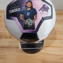 Custom Soccer Ball/Volleyball