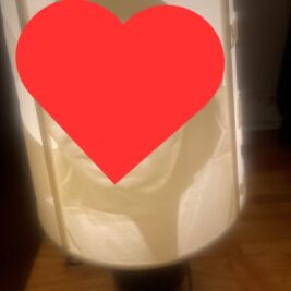 3D Printed Custom Lamp Shade