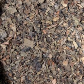 The Divine Holistic Line| Mullein