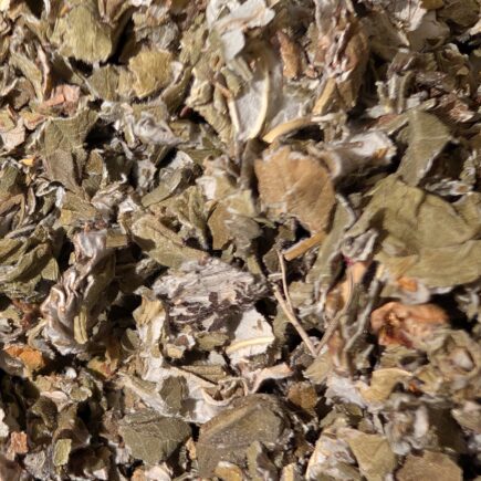 The Divine Holistic Line| Red Raspberry Leaf