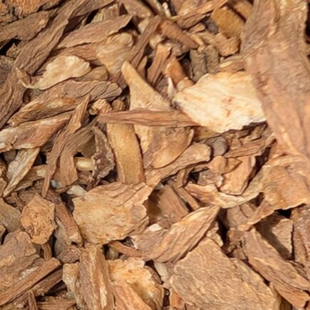 The Divine Holistic Line| Dong Quai