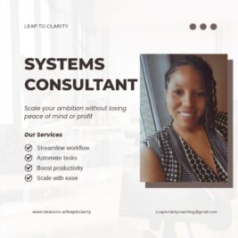 Systems Consultant