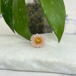 Sunflower Light Peach