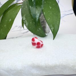 White and Red Bubble Heart