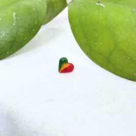 Rasta heart 2.0 (micro/sisterloc bead)