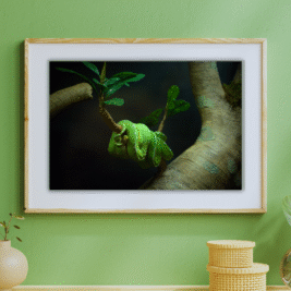 "Beauty on a Branch" Bill Colon (unframed)