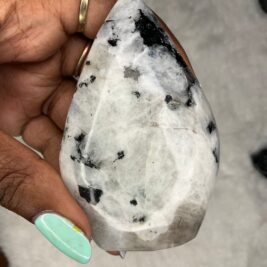 Rainbow Moonstone Freeforms