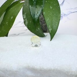 Clear Shell (silver component)