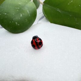 New Lady bug Red