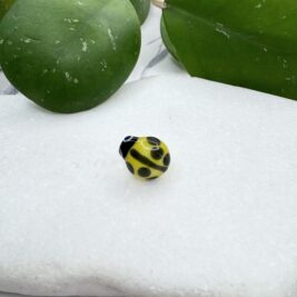New Yellow Ladybug
