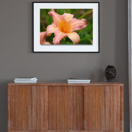 "Captured Raindrops" Bill Colon (unframed)