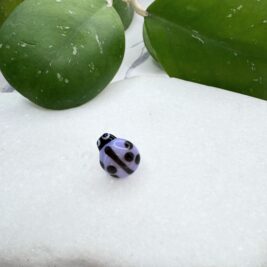 New Ladybug Purple