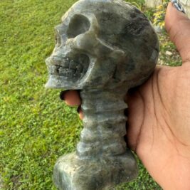 Labradorite Skull & Spine - Consciousness Expansion Sculpture