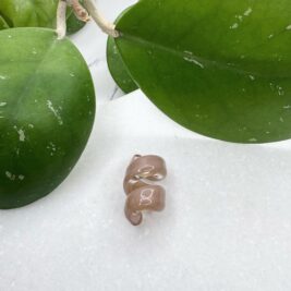 Natural Tan open spiral