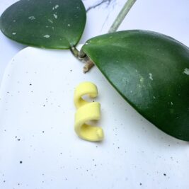 Light Lemon Yellow Clay Open Spiral