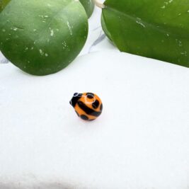 New Ladybug Orange