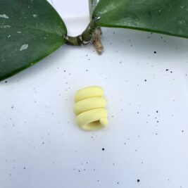 Light Lemon Yellow Clay Coil