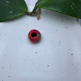 Custom Blend Clay Round