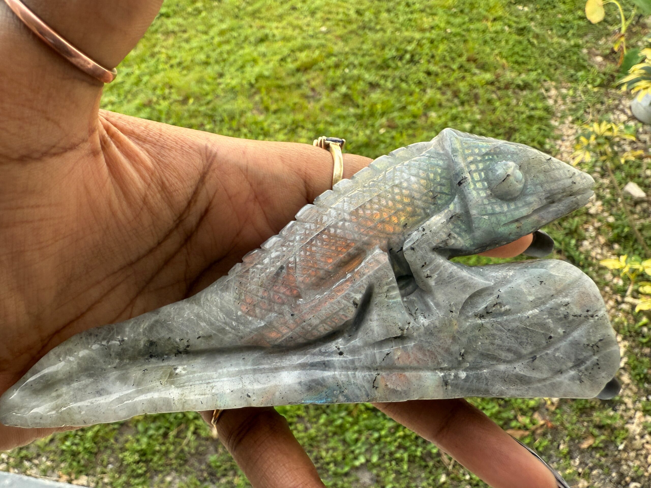 Chameleon - Spiritual, Crystals - Astrolyszics