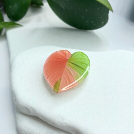 Rare Plant Pop Socket