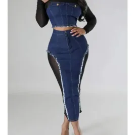 Denim Mesh Shirt and Skirt Set