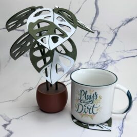 Monstera Adansonii Variegata Coaster