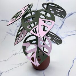 Monstera Adansonii Variegata Coaster (Pink)