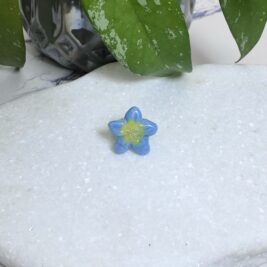 Blue Plumeria Flower