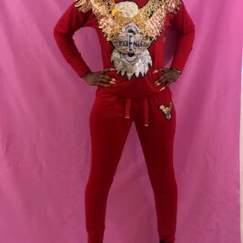 Rise Like A Phoenix Set