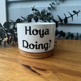 Hoya Doing? Ceramic Planter