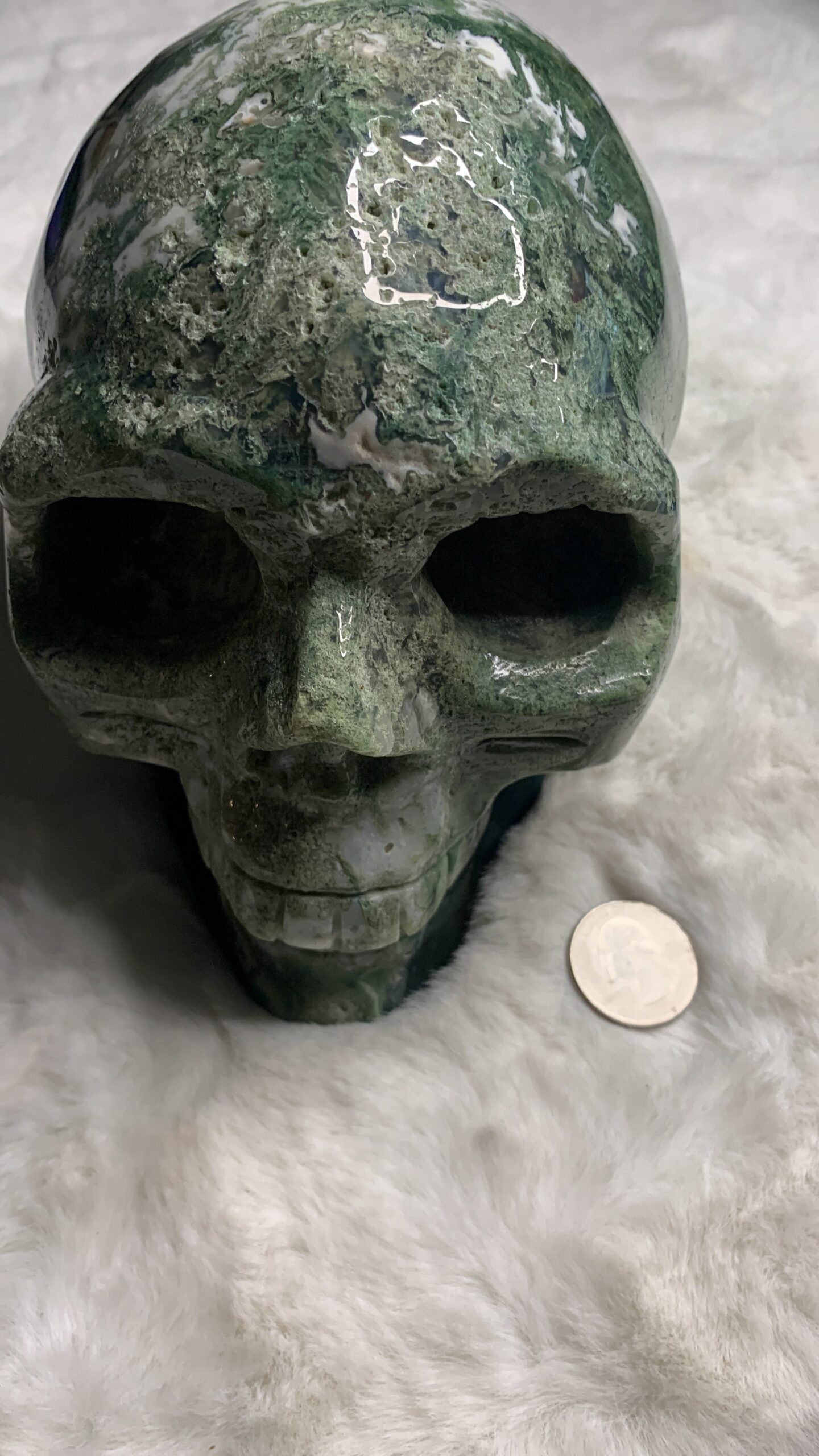 Ocean Jasper & Moss Agate Skull - Spiritual, Crystals - Astrolyszics