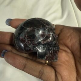 Garnet in Astrophylite Skull