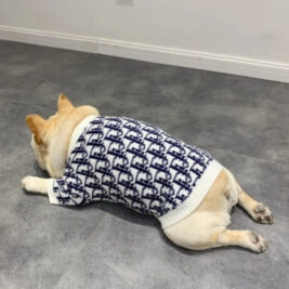 𝑆𝑖𝑚𝑝𝑙𝑦 𝑃𝑎𝑠ℎ𝑖𝑜𝑛