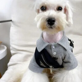 𝐹𝑟𝑒𝑠ℎ & 𝐶𝑙𝑒𝑎𝑛