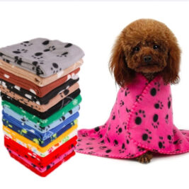 𝑃𝑎𝑠ℎ𝑖𝑜𝑛 𝐵𝑙𝑎𝑛𝑘𝑒𝑡𝑠