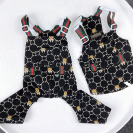 𝐶𝑜𝑢𝑝𝑙𝑒𝑠 𝑆𝑒𝑡