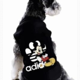 𝐷𝑖𝑠𝑛𝑒𝑦 𝑀𝑖𝑐𝑘𝑒𝑦