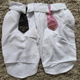 𝑃𝑟𝑒𝑝𝑝𝑦 𝑃𝑎𝑠ℎ𝑖𝑜𝑛